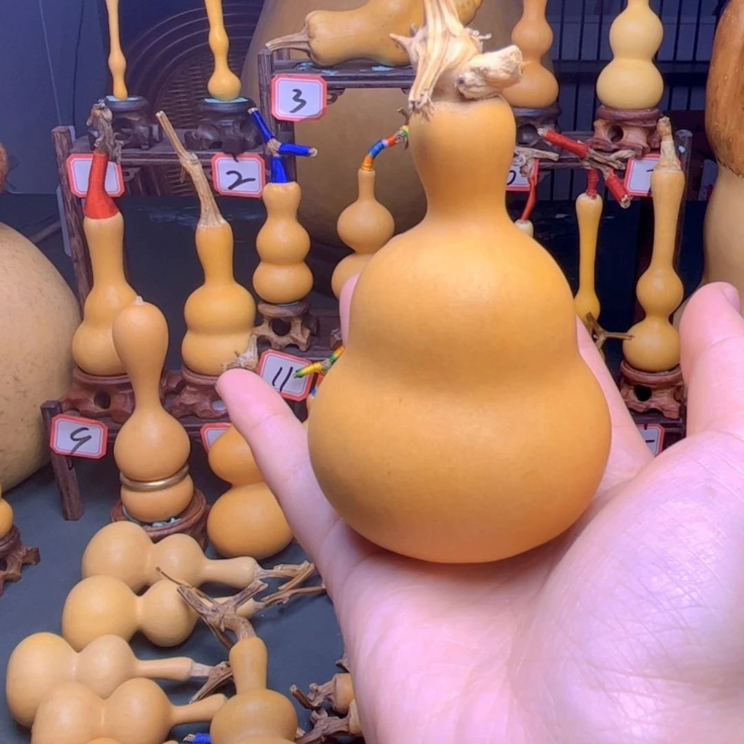 夜**～直播间专属链接，