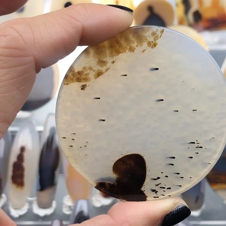 查罗石未镶嵌珠宝半成品3