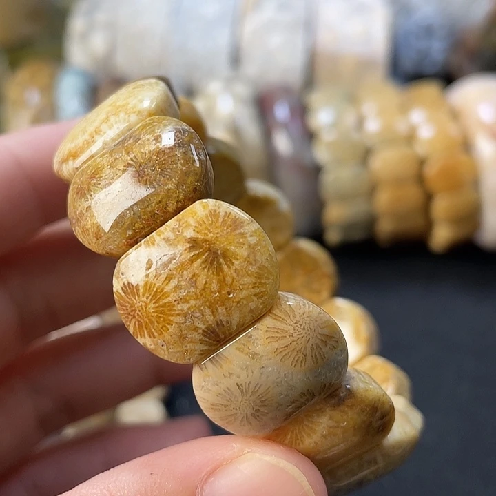 未镶嵌手链硅化珊瑚（珊瑚玉）