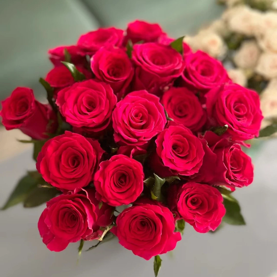 福利3   红玫瑰10+卡布10+向日葵2  送配草