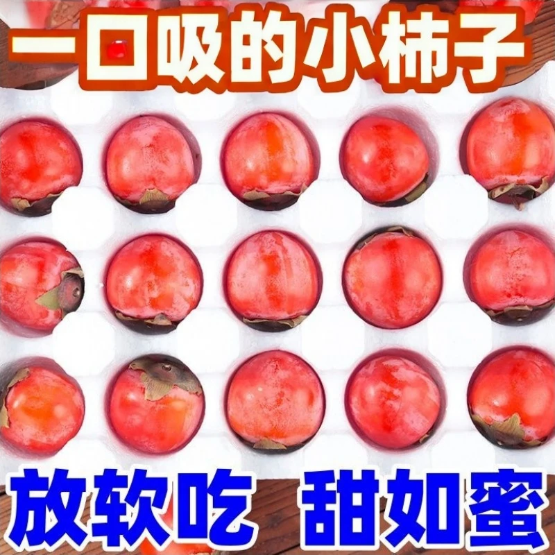 吊红柿子45枚装珍珠蜜柿新鲜糖心小柿子灯笼红软柿子放软火晶柿子