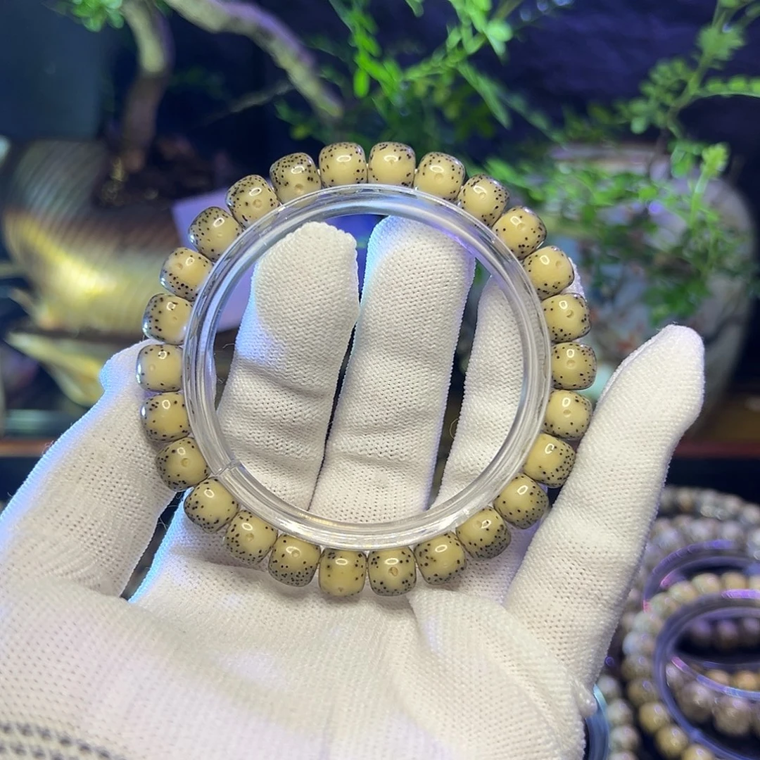 手串星月菩提海南原生态