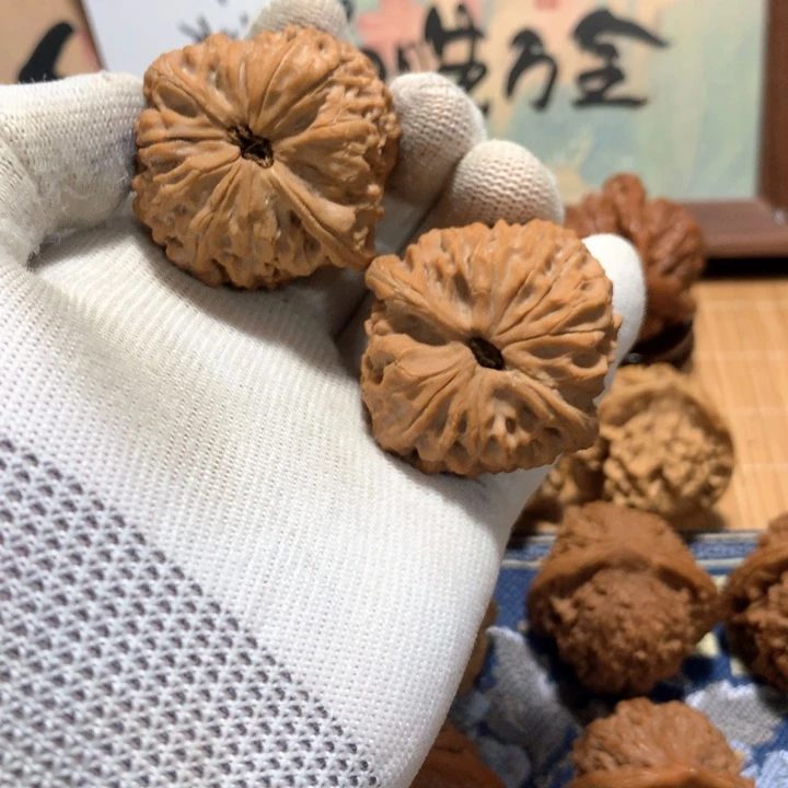點****哈哈哈哈哈哈哈哈哈哈哈