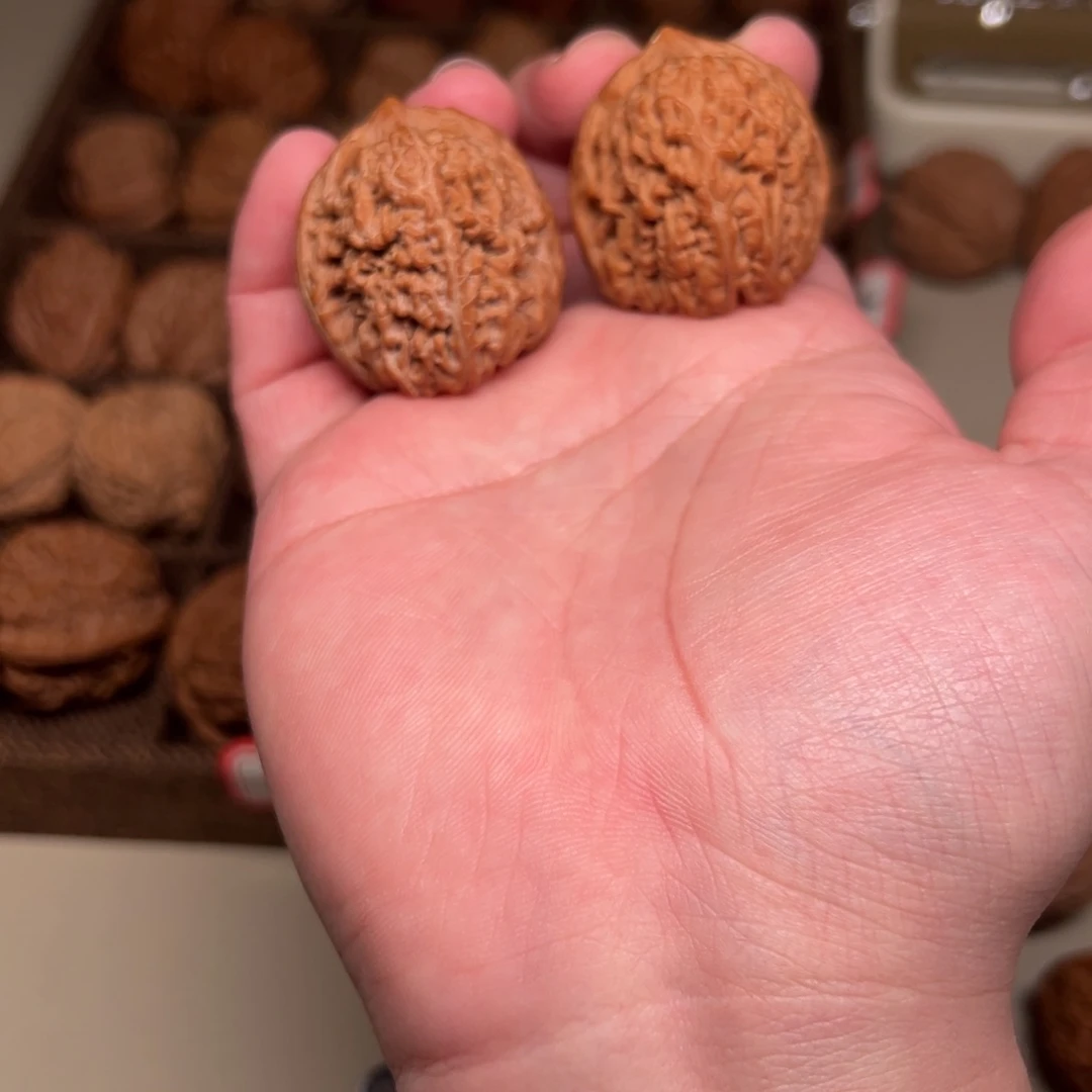 畏承德密纹虎头 大蒜头 35