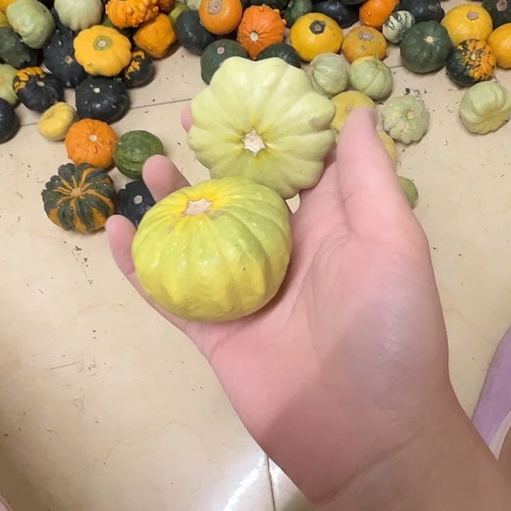 ****g墨西哥葫芦葫芦旅途哭