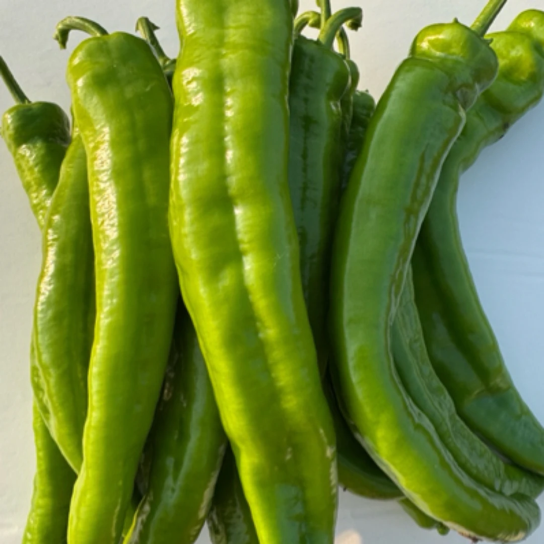 农家自种新鲜薄皮青辣椒牛角椒香辣新鲜