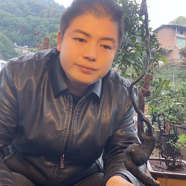 无花朵金弹子盆景艺术作品