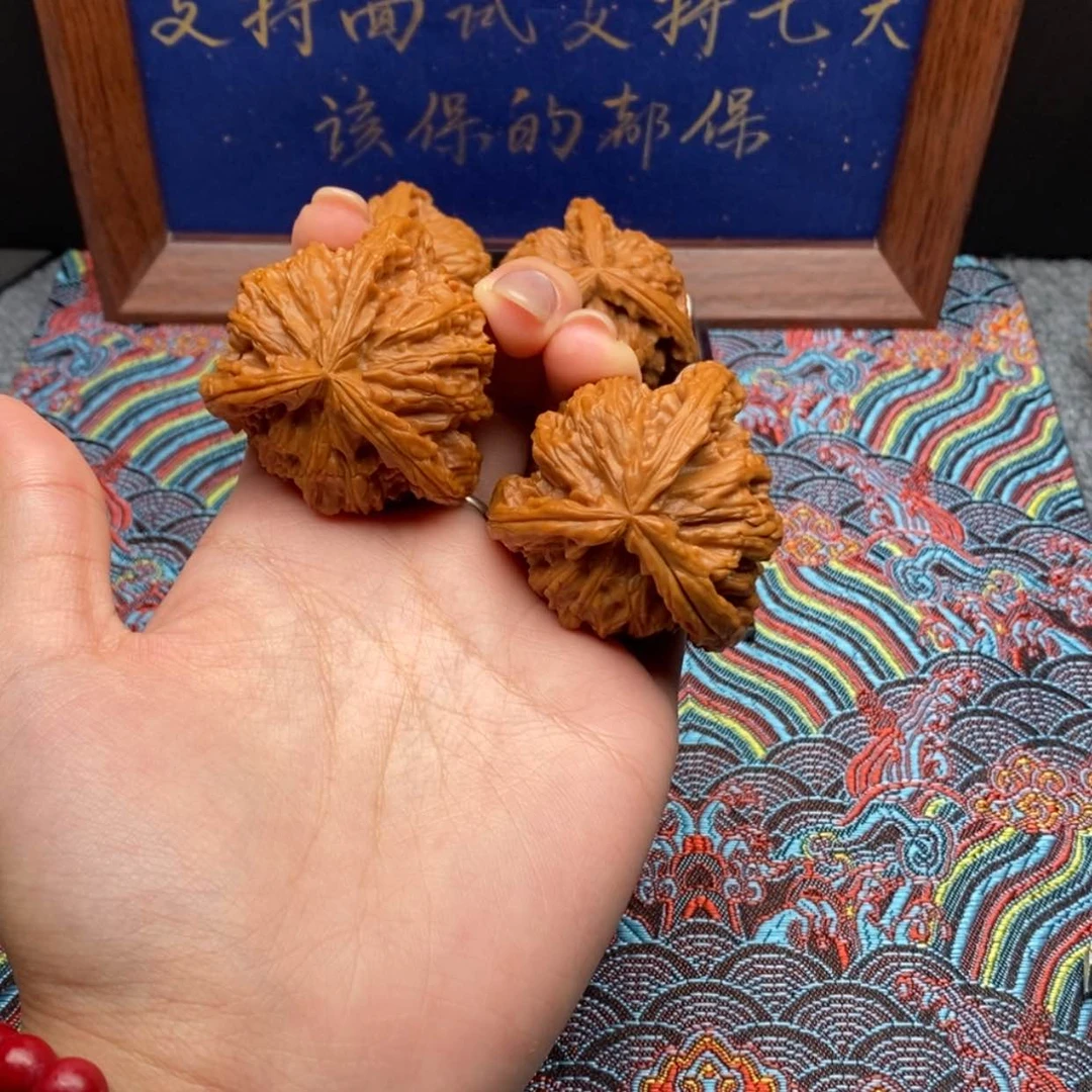 【闪购商品】小***辣白狮