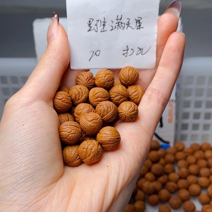手串桃核11mm左右野生满天星20颗（打孔）