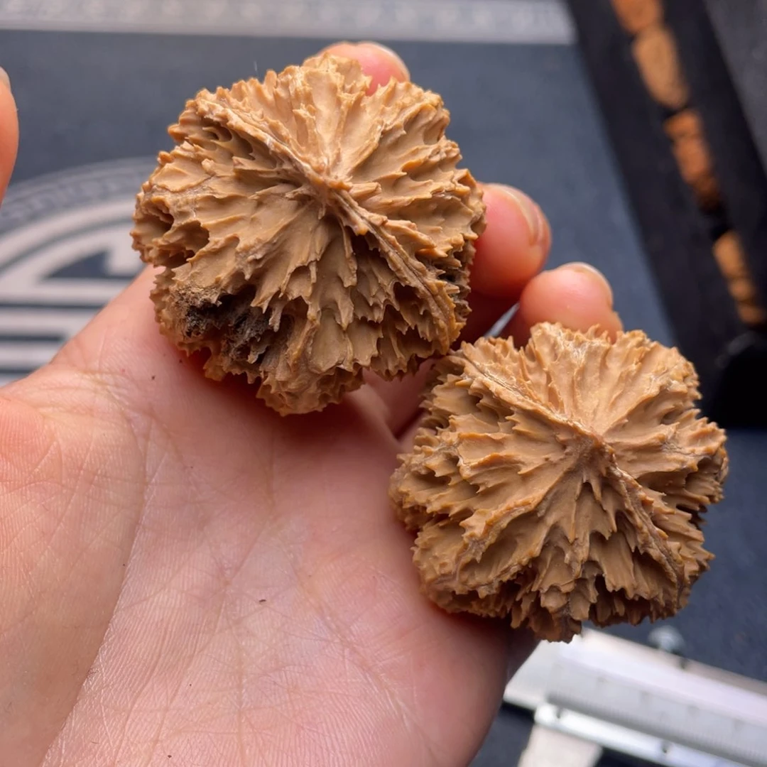 文玩核桃吊坠秦岭核桃11