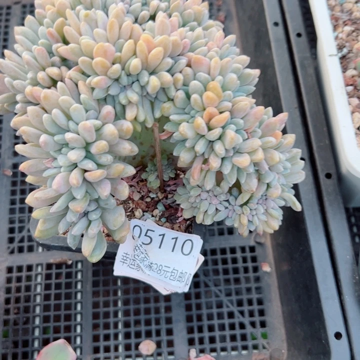 幸运的是我还没遇到过这样