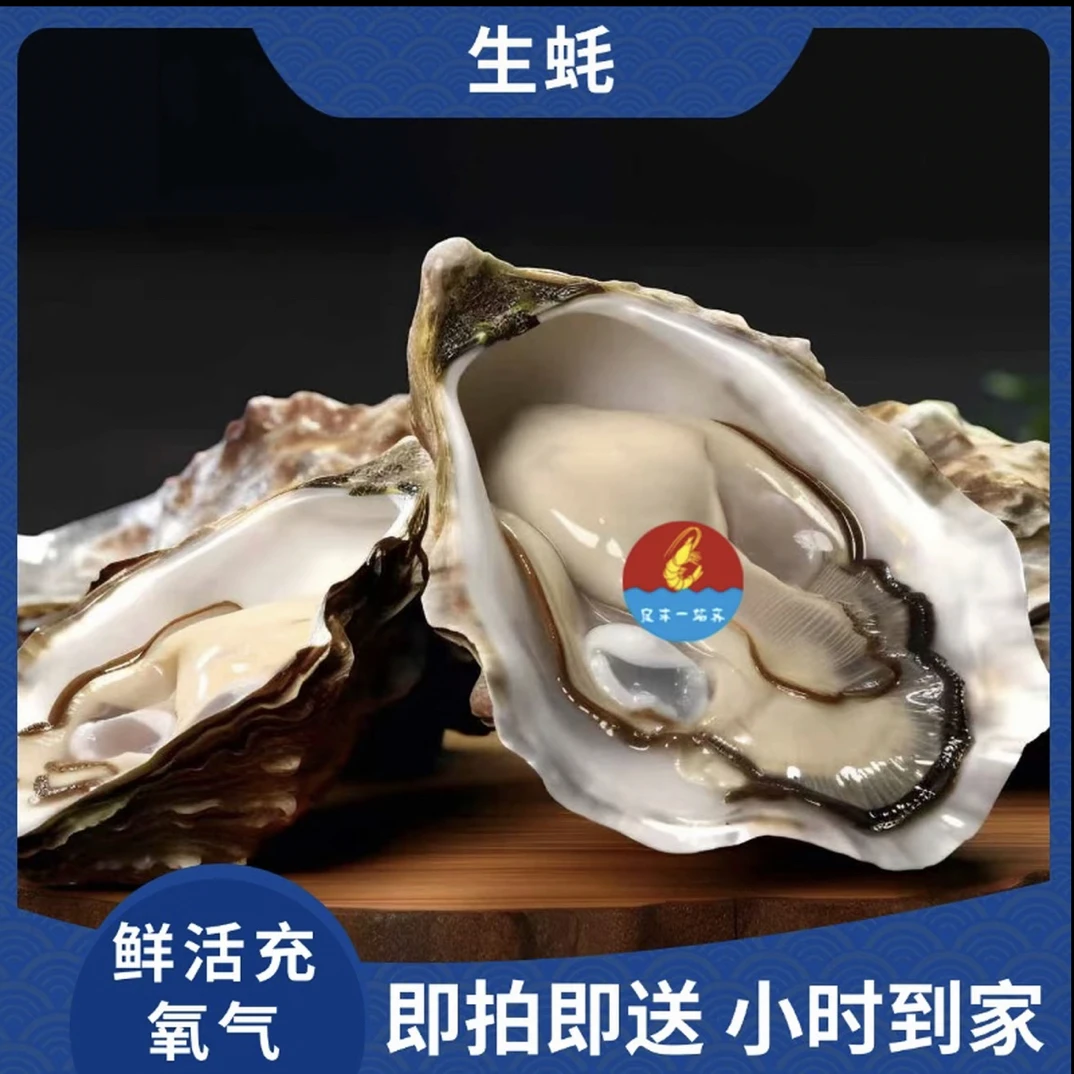 福建3+生蚝12个同城配送小时达3斤