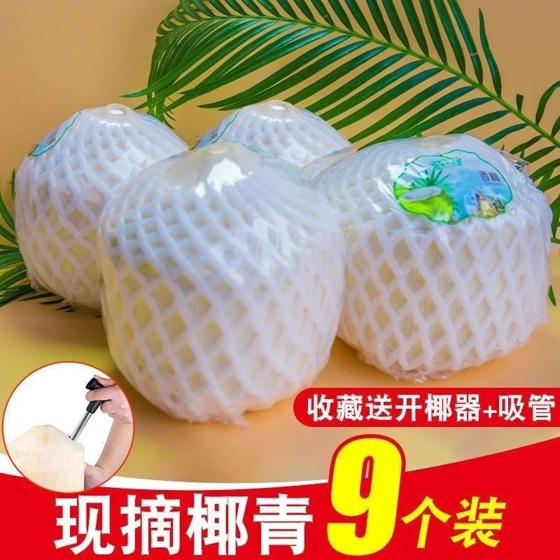 当天摘新鲜海南文昌椰青纯天然9个装口感微甜酸新鲜解渴坏果包赔