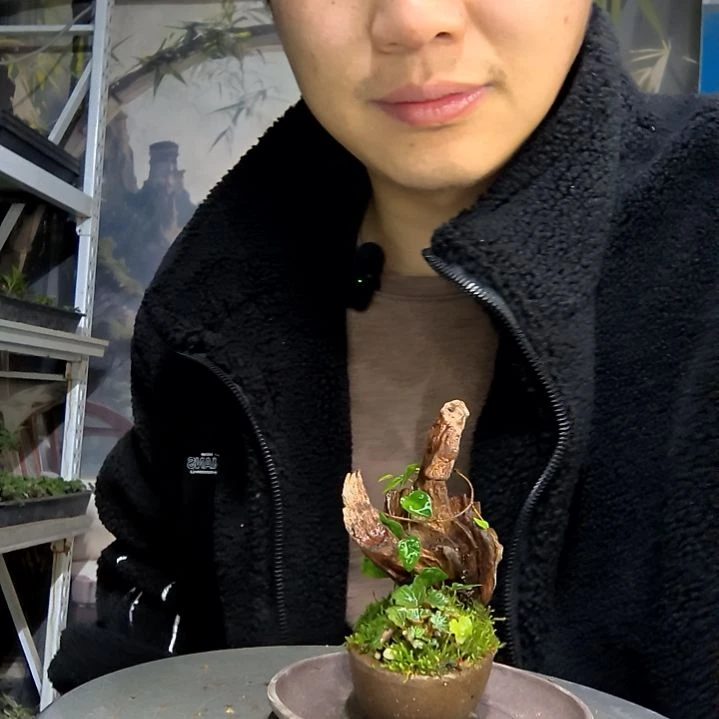 多****中青园艺一物一拍花215
