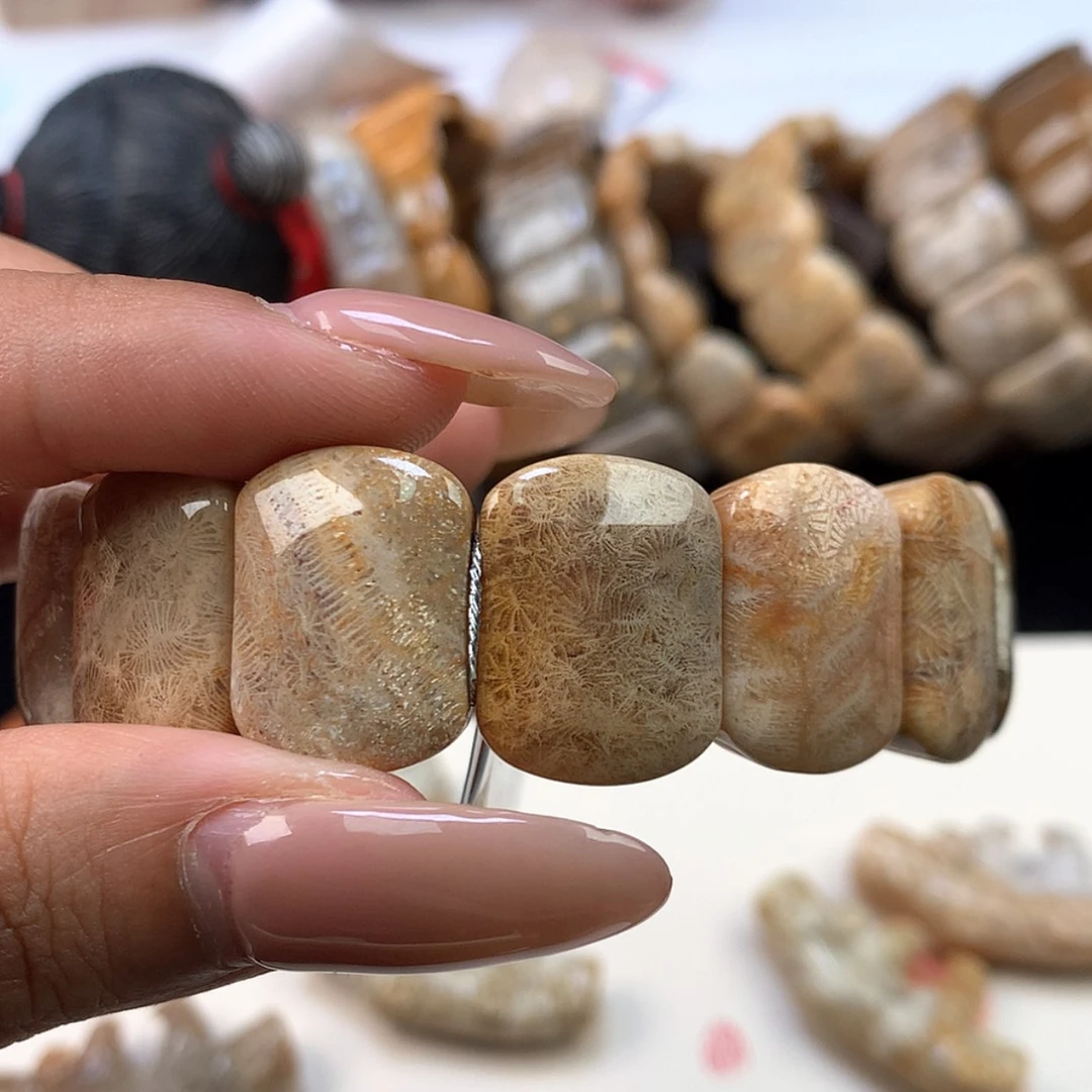 【闪购商品】颈饰未镶嵌硅化珊瑚（珊瑚玉）五****鱼