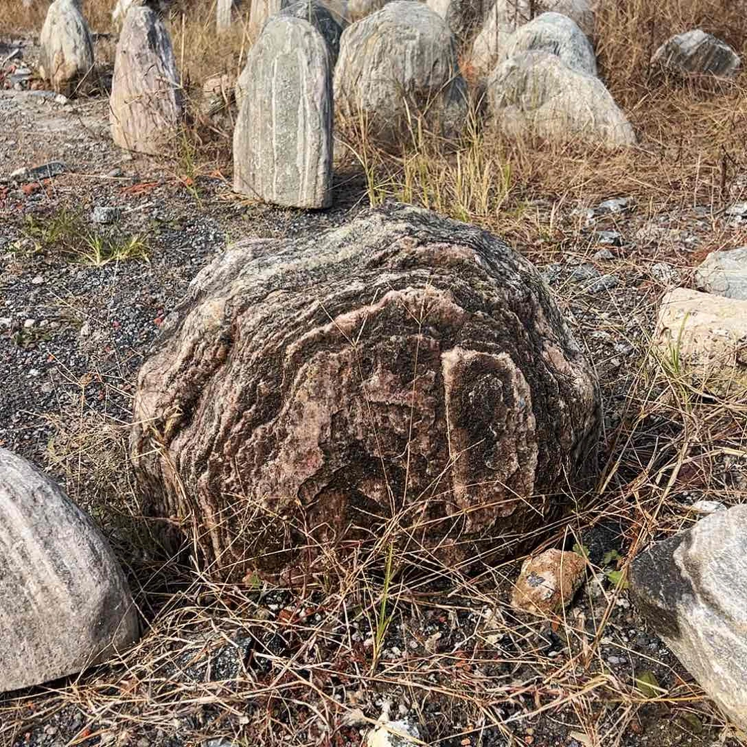 石头庭院庭院庭院