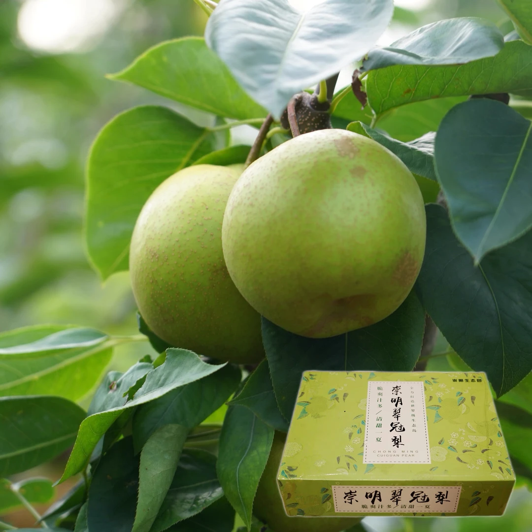 【哈特火】崇明翠冠梨礼盒装12个