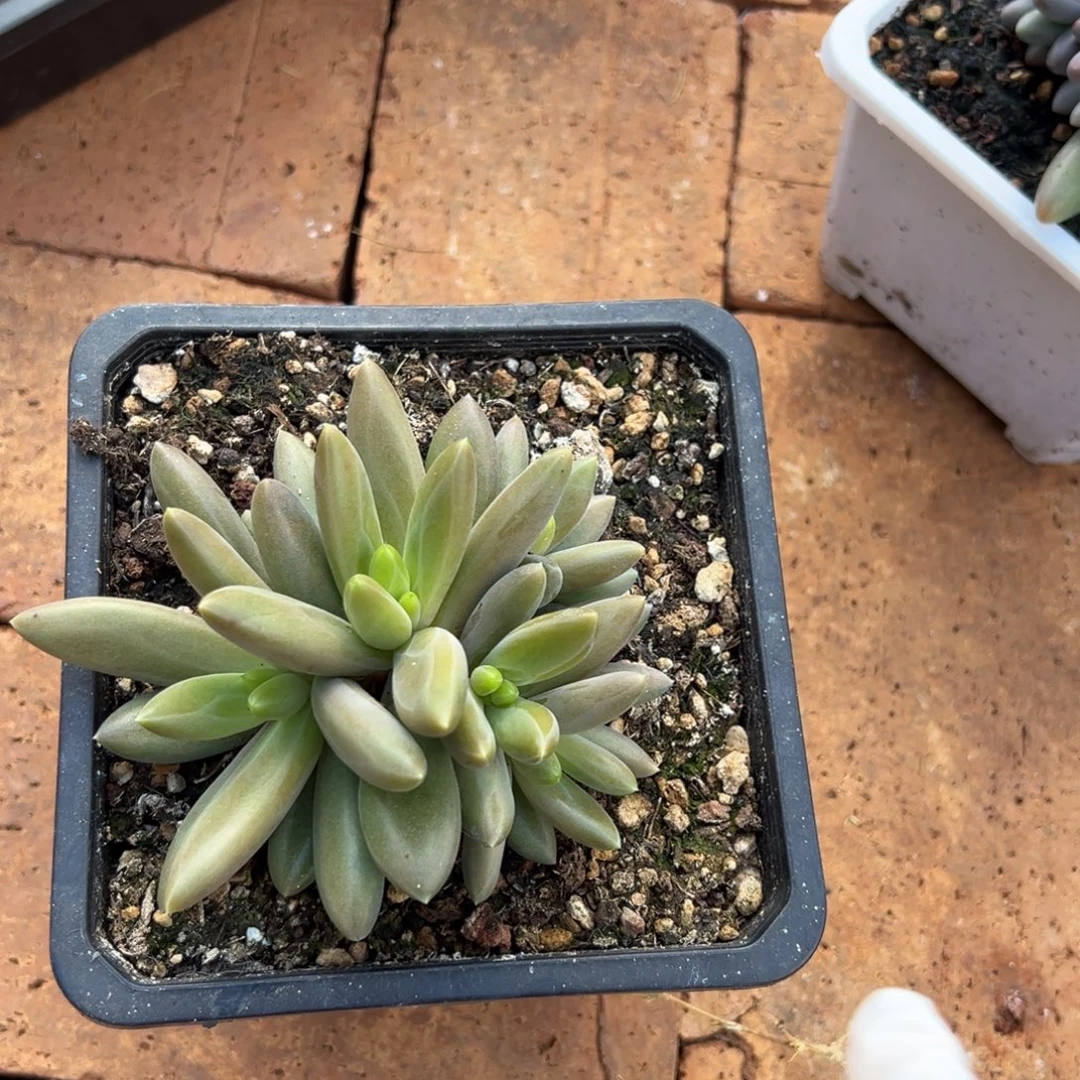 *****1117111111111111111111