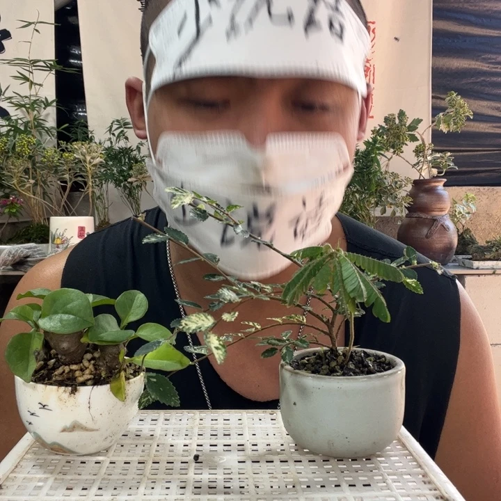 白***℃无花朵退款拉黑拉黑3