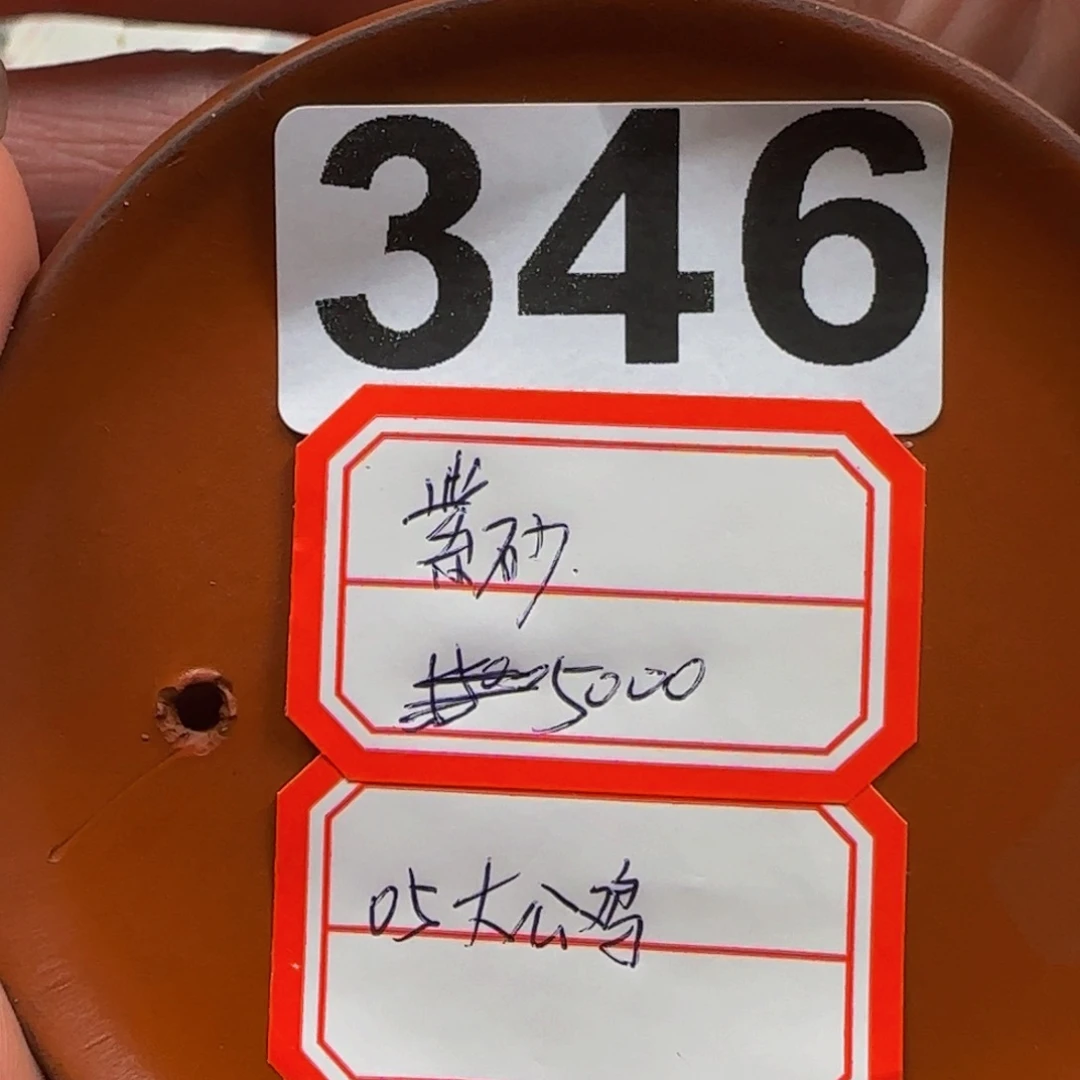 仁***紫砂…………………346………………………………