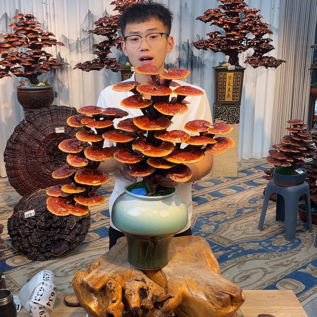 全部花朵89888855566666666