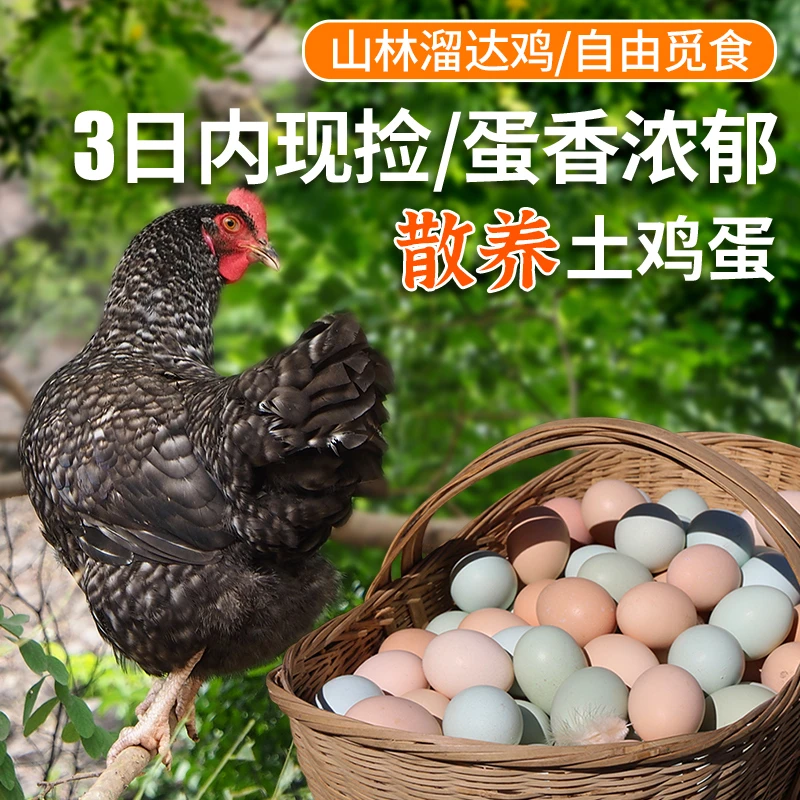 【包邮】真正农村散养土鸡蛋 柴鸡蛋  吃粮食和小虫 新鲜土鸡蛋30枚