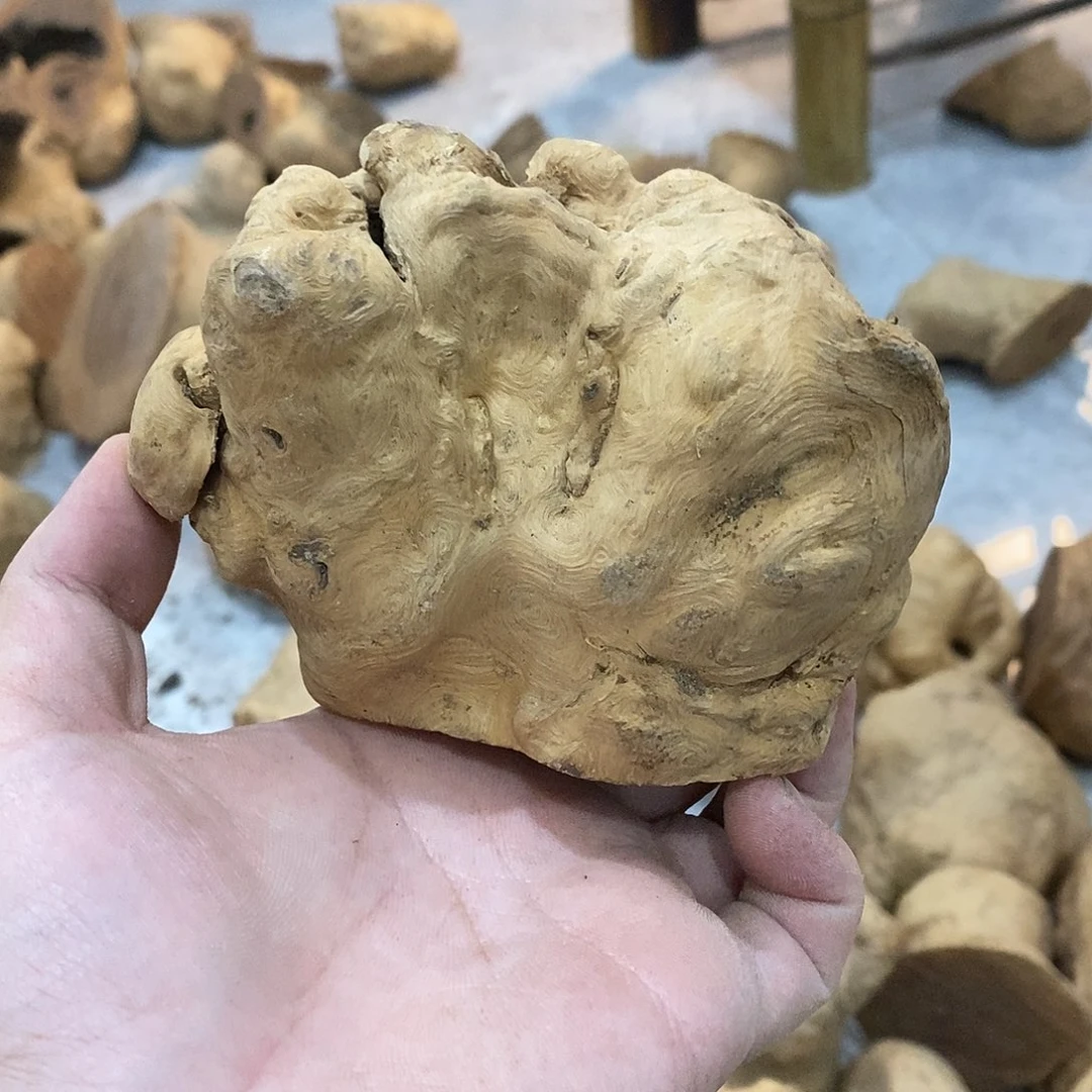 新***业荔枝木荔枝木原料