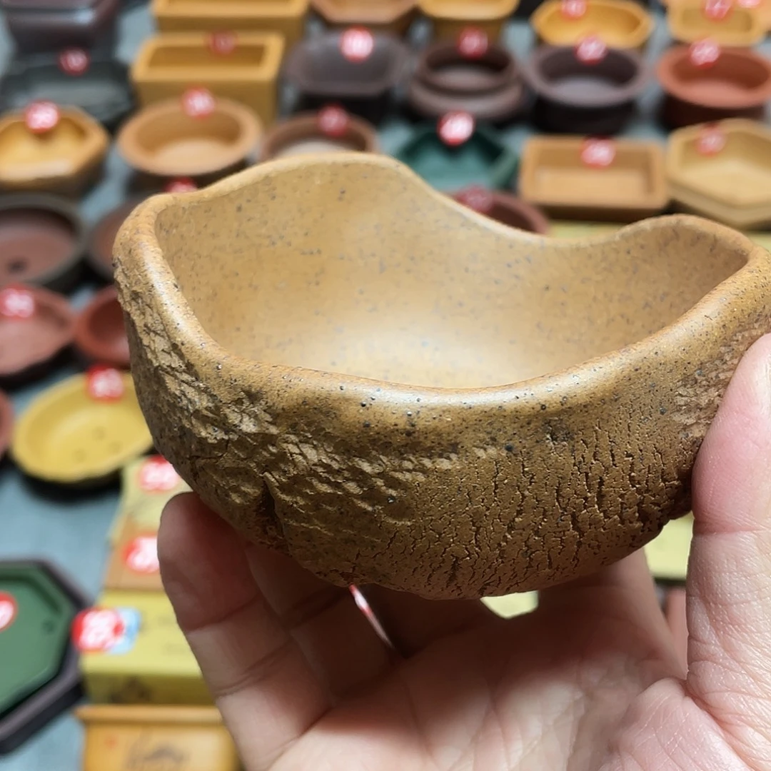 紫砂小盆10*3.5cmmmm