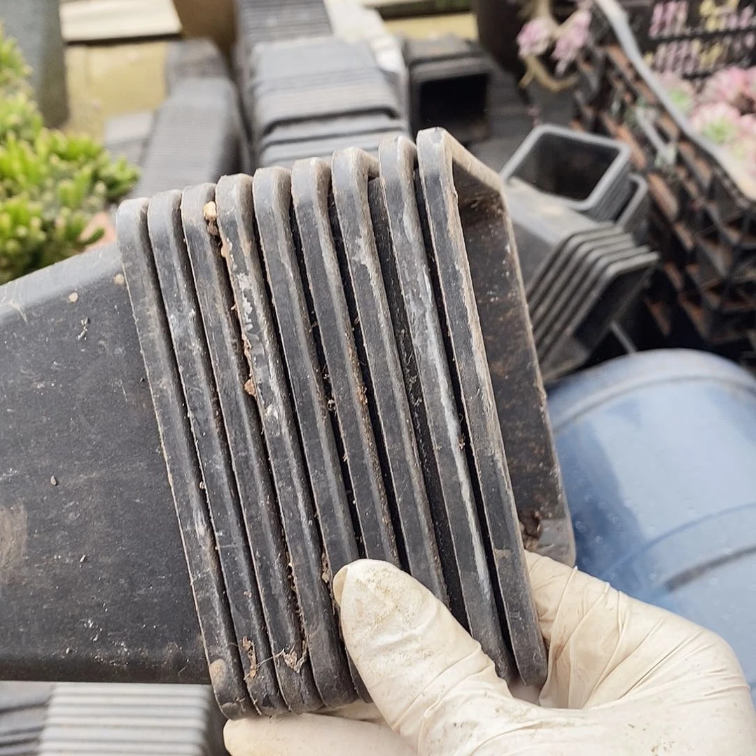 塑料旧12公分黑方盆30个