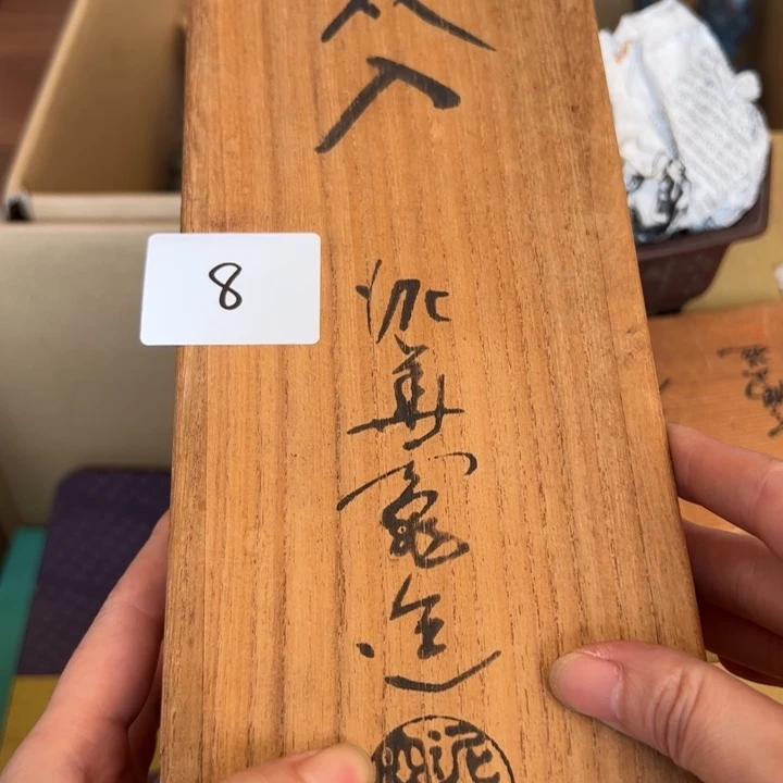 火***晶我是一只小小鸟地域鬼8
