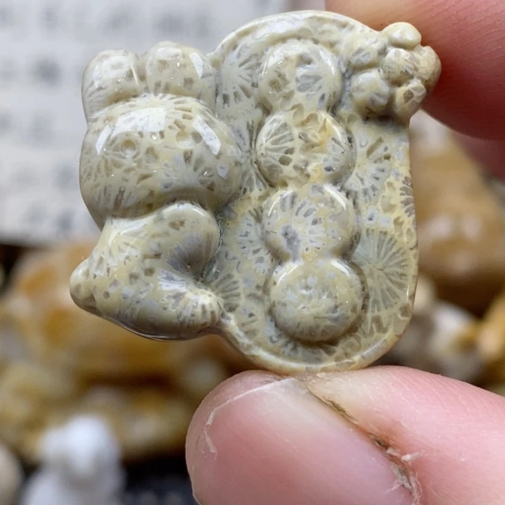 颈饰未镶嵌硅化珊瑚（珊瑚玉）小