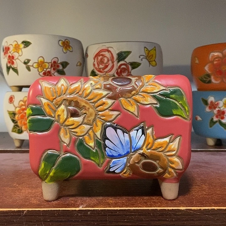 韩式多肉植物花盆