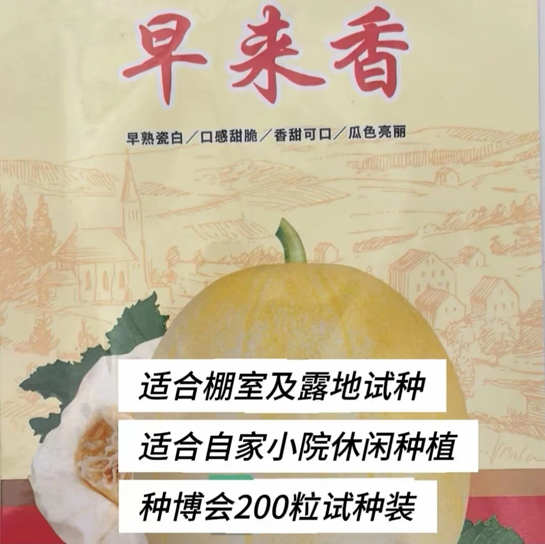 早来香200粒/袋装（种博会试种装）早熟 薄皮 甜脆 果型圆润靓丽