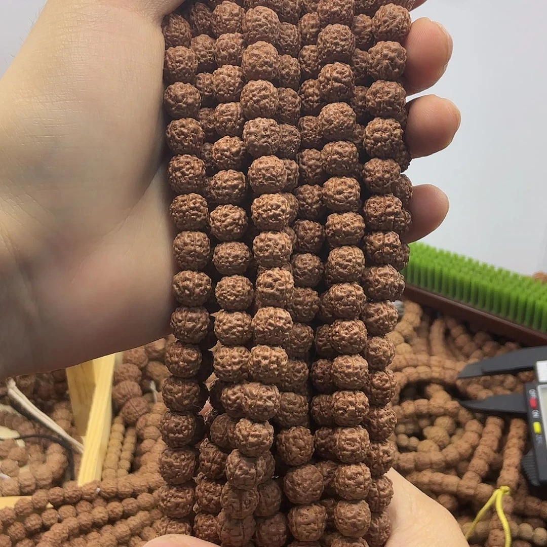 金刚菩提吊坠野盘龙，一条保手持