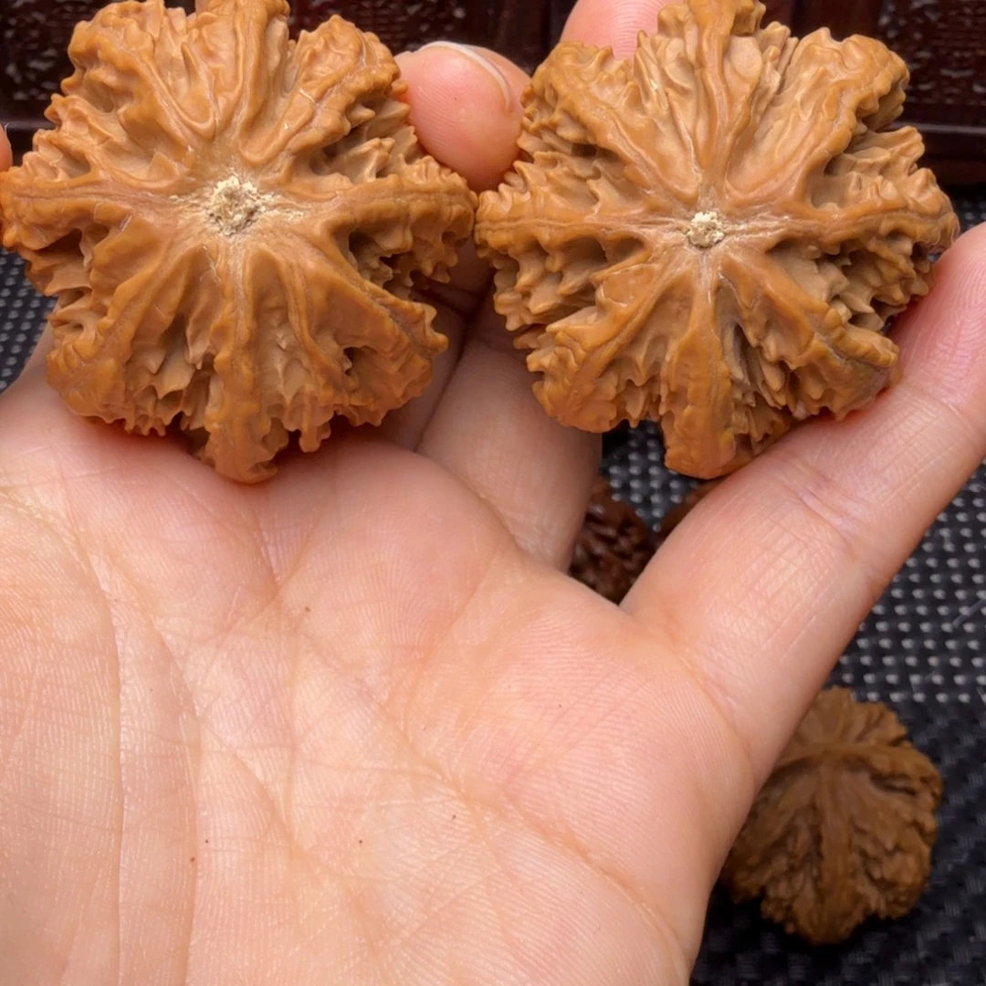 文玩核桃把件龙脊八棱04