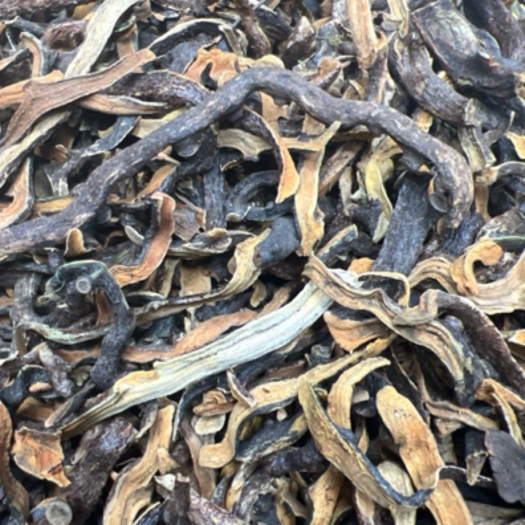 野生骨碎补（现称散装）