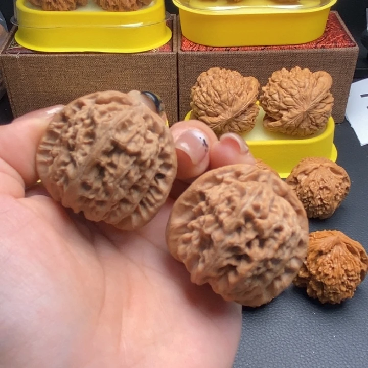 把件文玩核桃711白狮子全品40