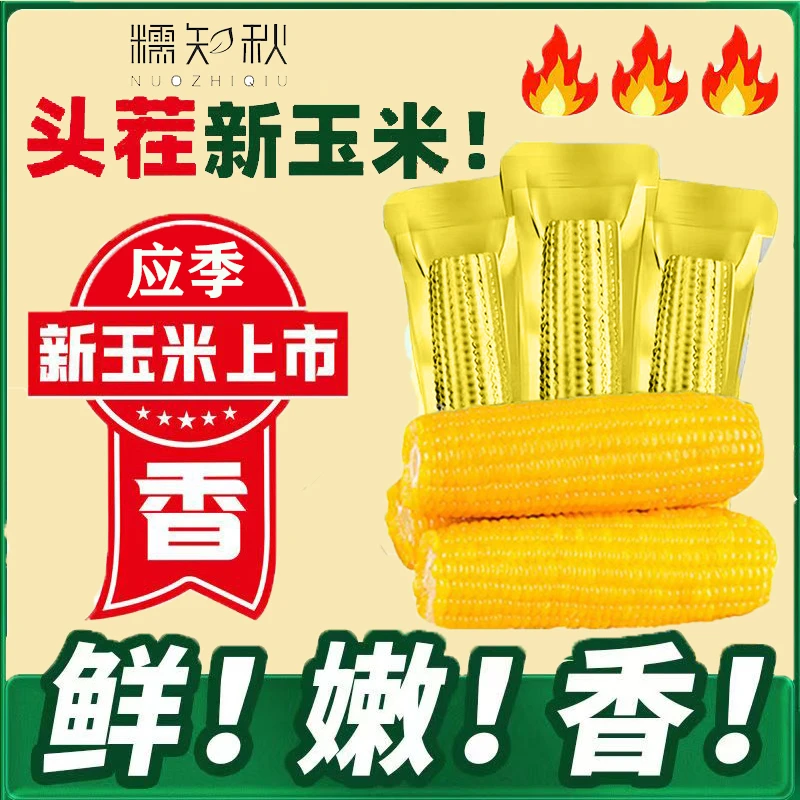 糯知秋【可试吃2根】东北黄糯玉米棒铝箔真空包装10根6-7斤软糯香甜