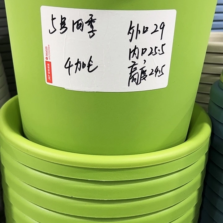 特价5号口29高24.5白色6只带托