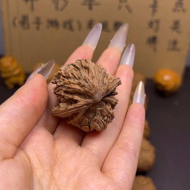 齐***齐菩提籽类蛇单只异型有瑕