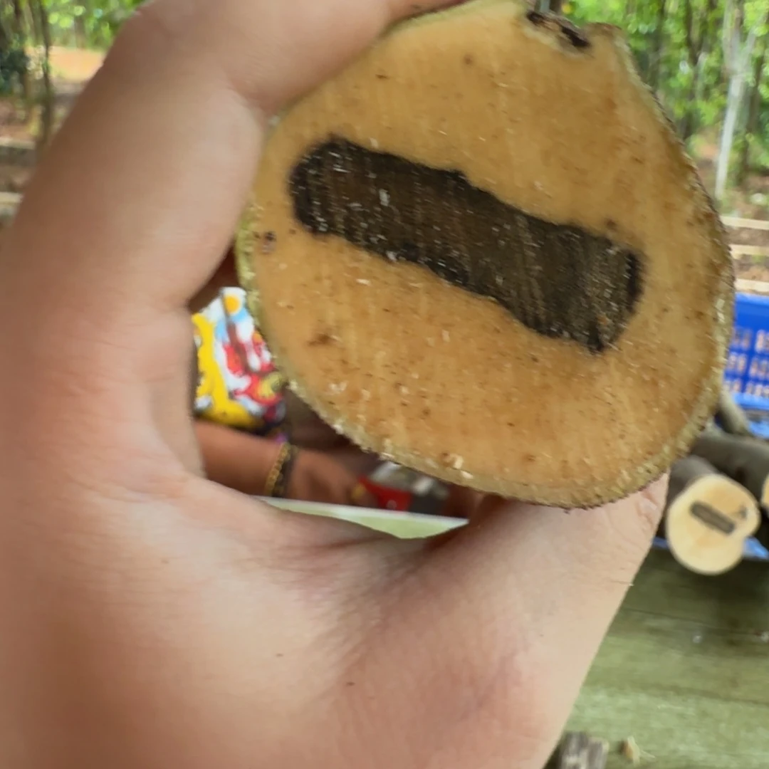 线香奇楠沉香原木