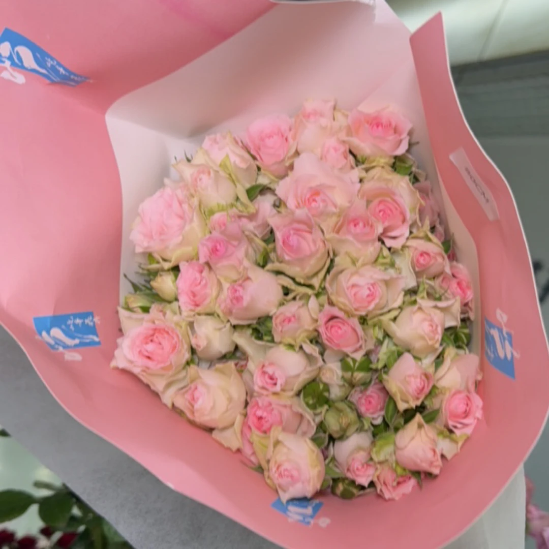 斗南花卉电子交易中心-仙子之吻单头玫瑰 （顺丰包邮）