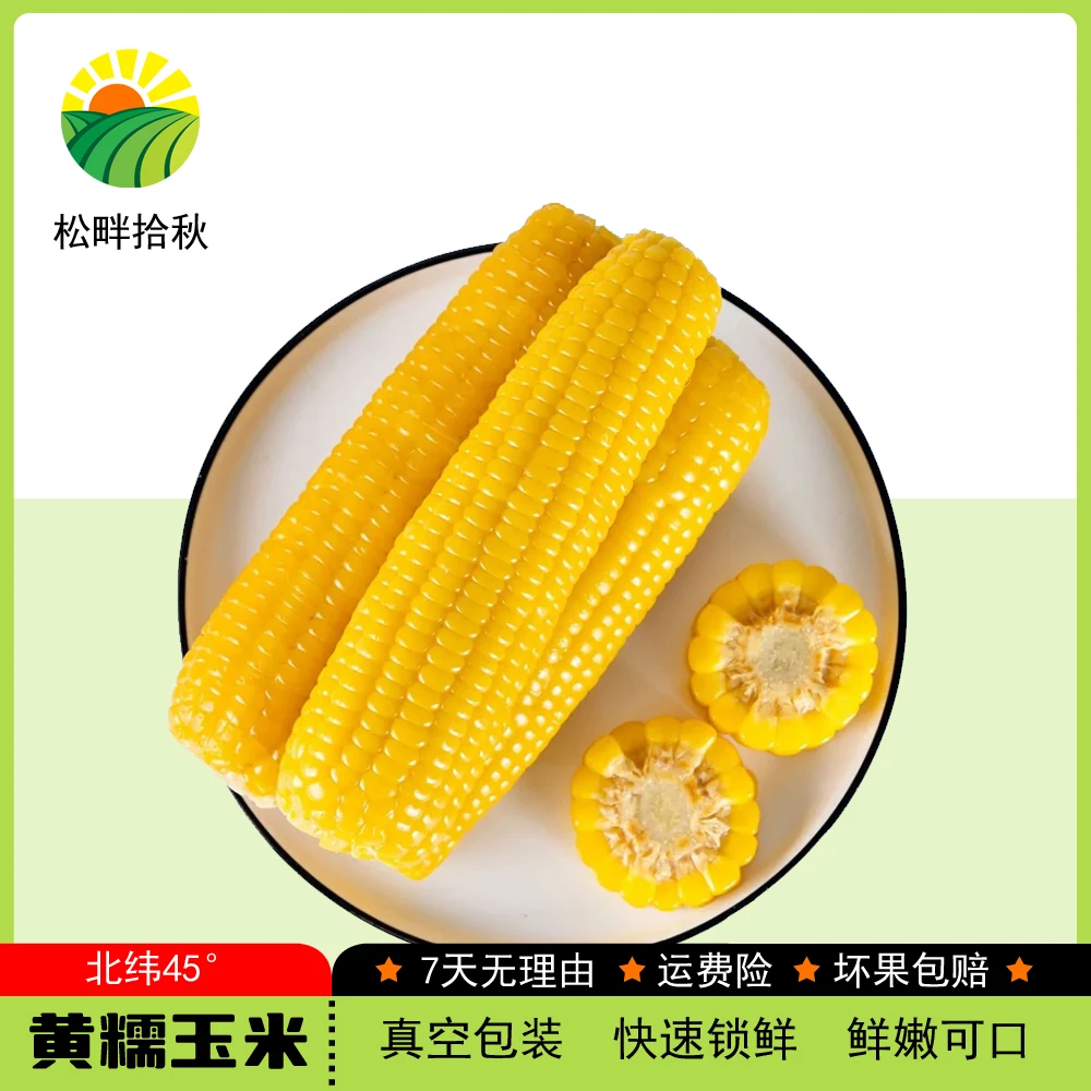 25年头茬新黄糯玉米香甜软糯粗粮软粘10支5.5斤