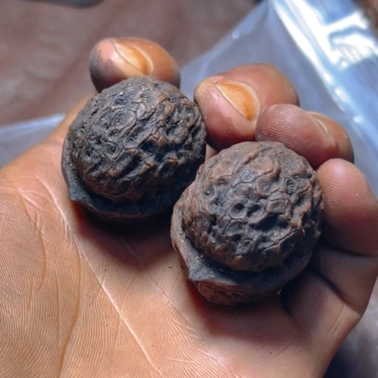 把件文玩核桃卡35火焰灵姬57号