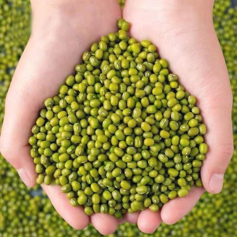 【敖会长】代收农家老品种 绿豆