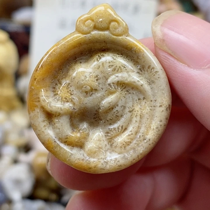 颈饰未镶嵌硅化珊瑚（珊瑚玉）小