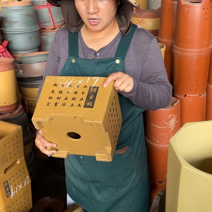 紫砂花盆盆栽花卉苗木种植