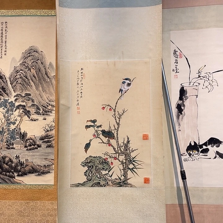 东****育发发发77788999988