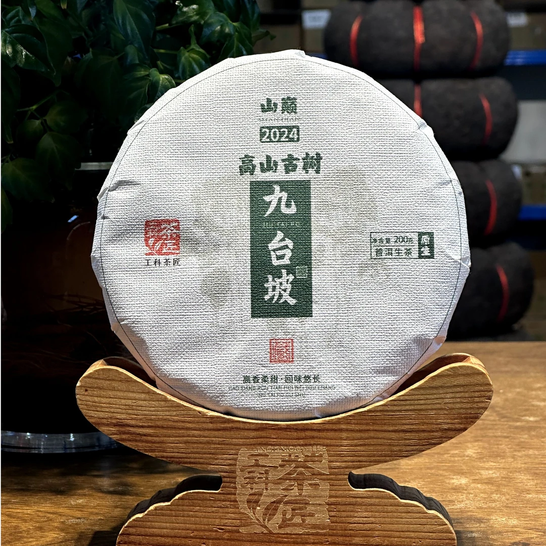 【工科】2024九台坡