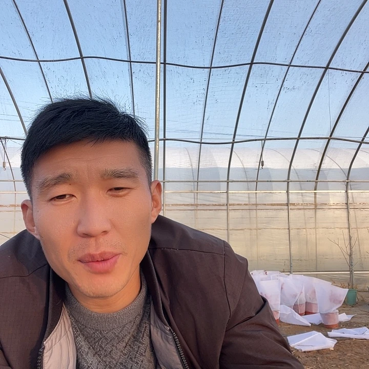 彤***奶蜜罐一物一拍树枝